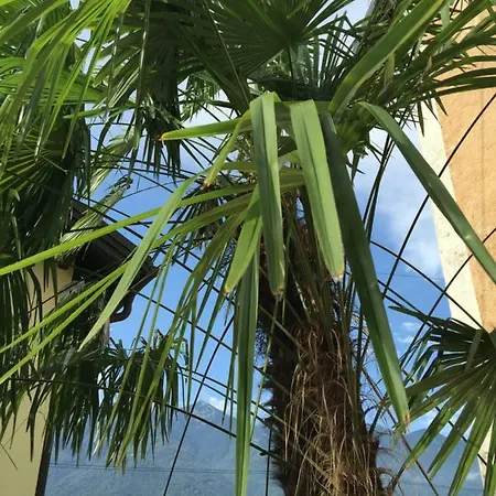 Apartman Casa Ortensia *