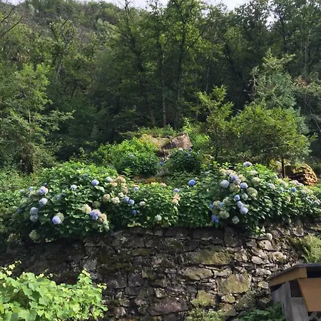 Apartman Casa Ortensia *