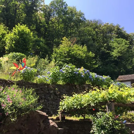 Apartman Casa Ortensia *