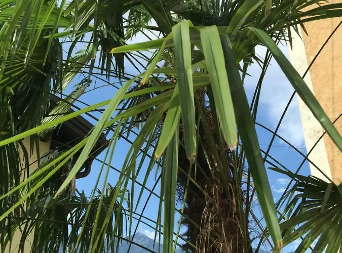 Appartamento Casa Ortensia *