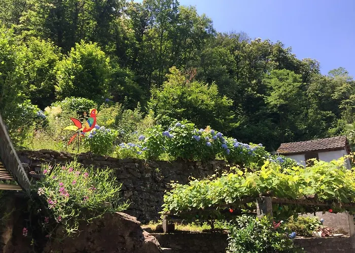 Appartamento Casa Ortensia *