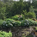 Διαμέρισμα Casa Ortensia *