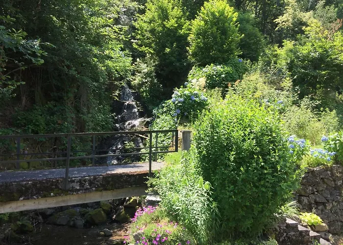 Casa Ortensia Gambarogno