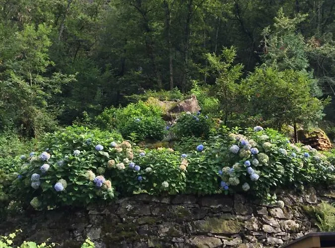 Apartmán Casa Ortensia *